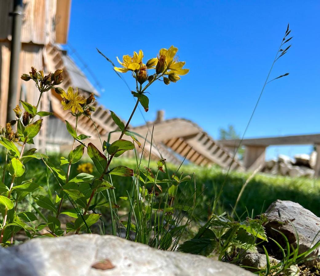 Stahovica Chalet Velika Planina - I Feel Alps מראה חיצוני תמונה