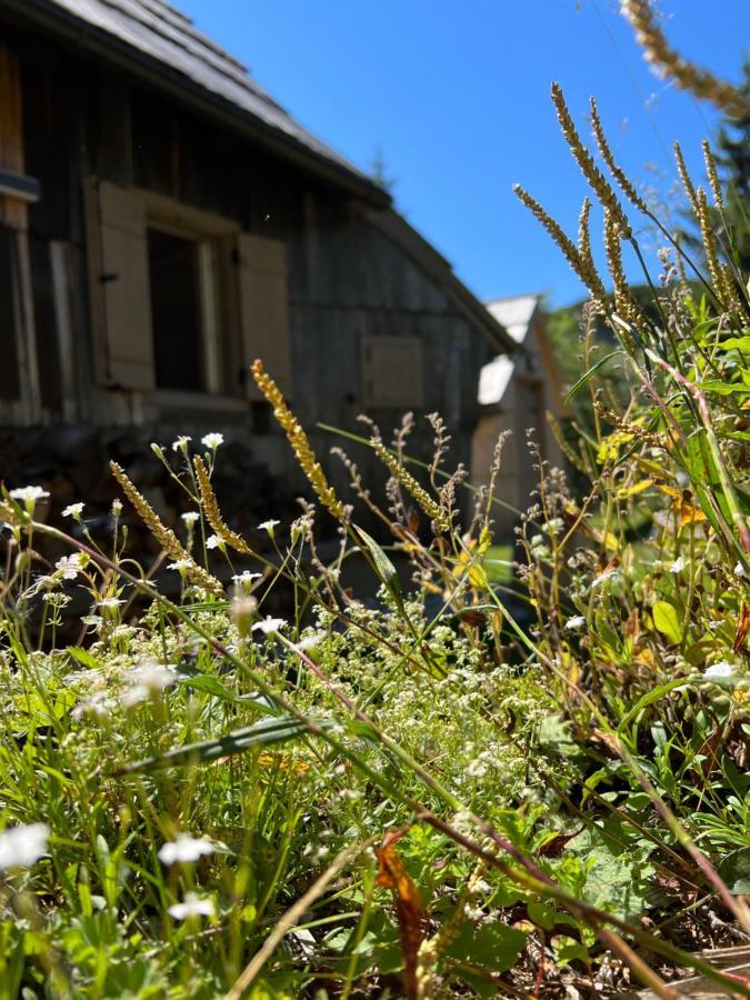 Stahovica Chalet Velika Planina - I Feel Alps מראה חיצוני תמונה