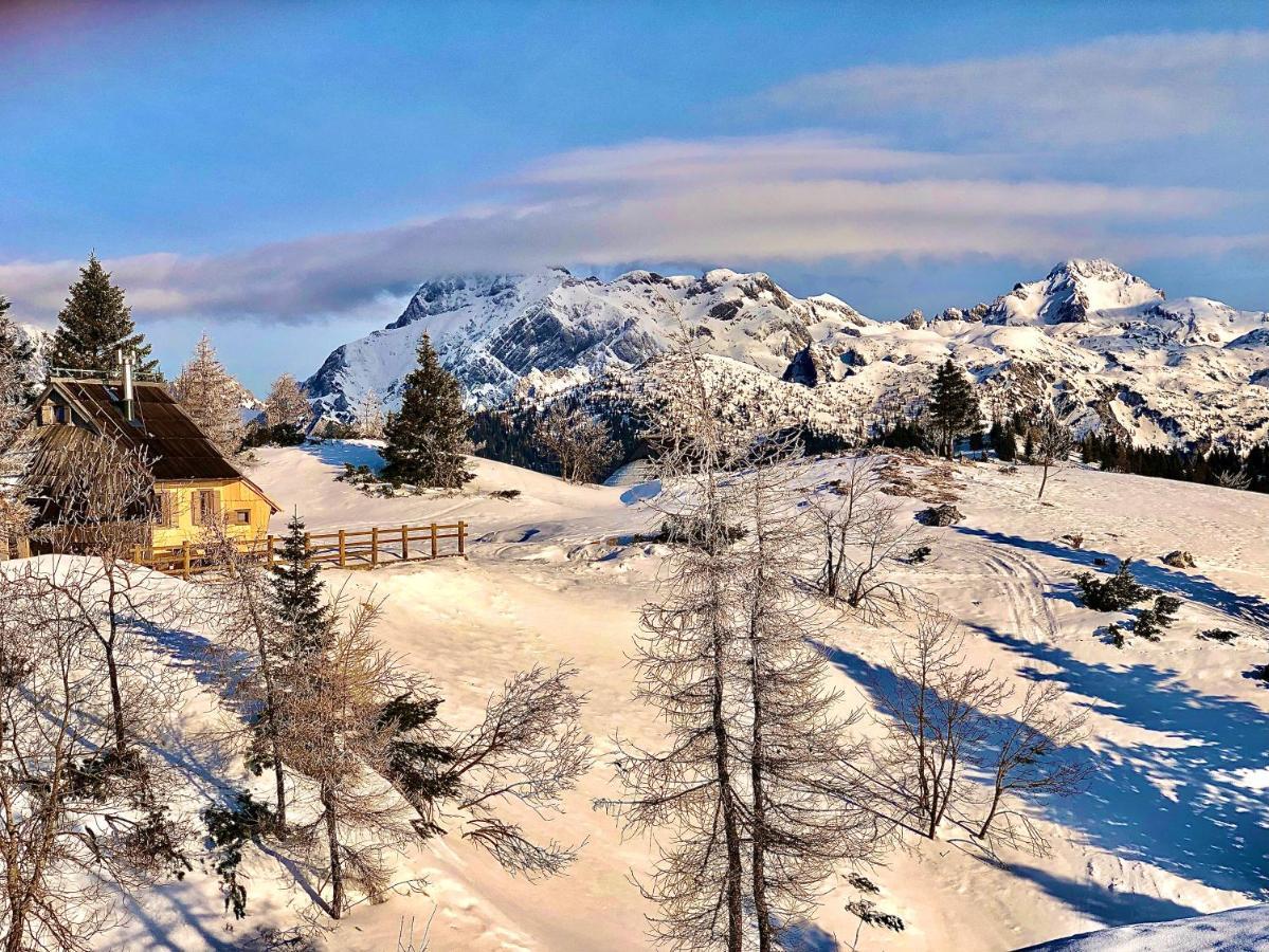 Stahovica Chalet Velika Planina - I Feel Alps מראה חיצוני תמונה